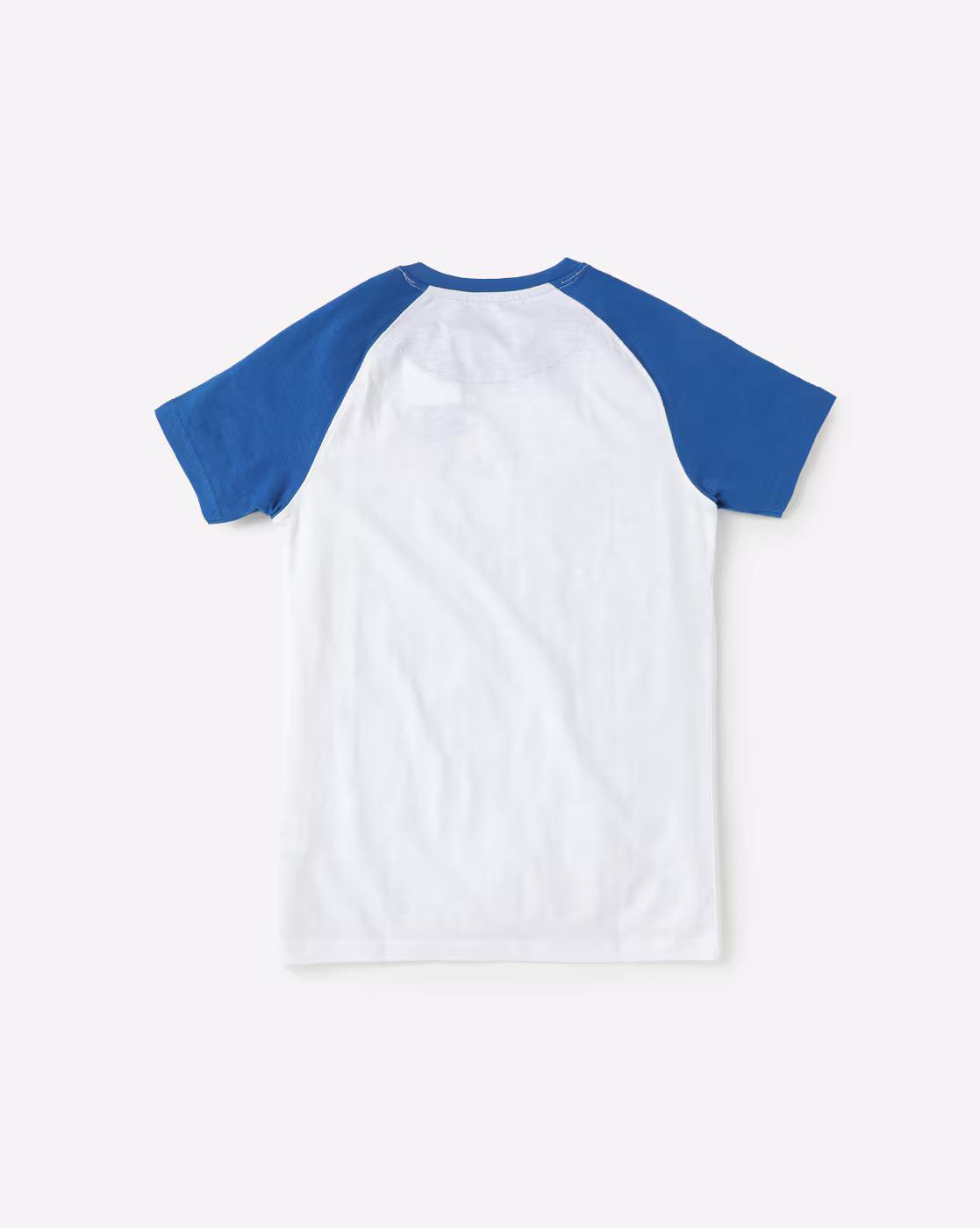 Colourblock Crew-Neck T-Shirt with Raglan Sleeves