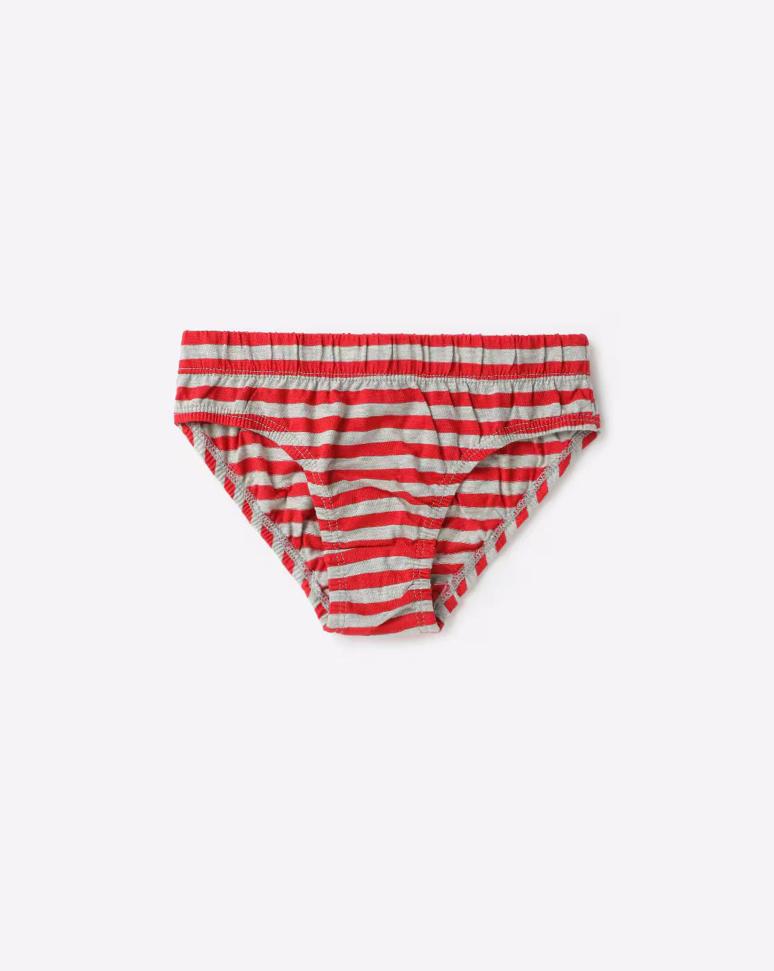 Pack of 3 Printed Briefs