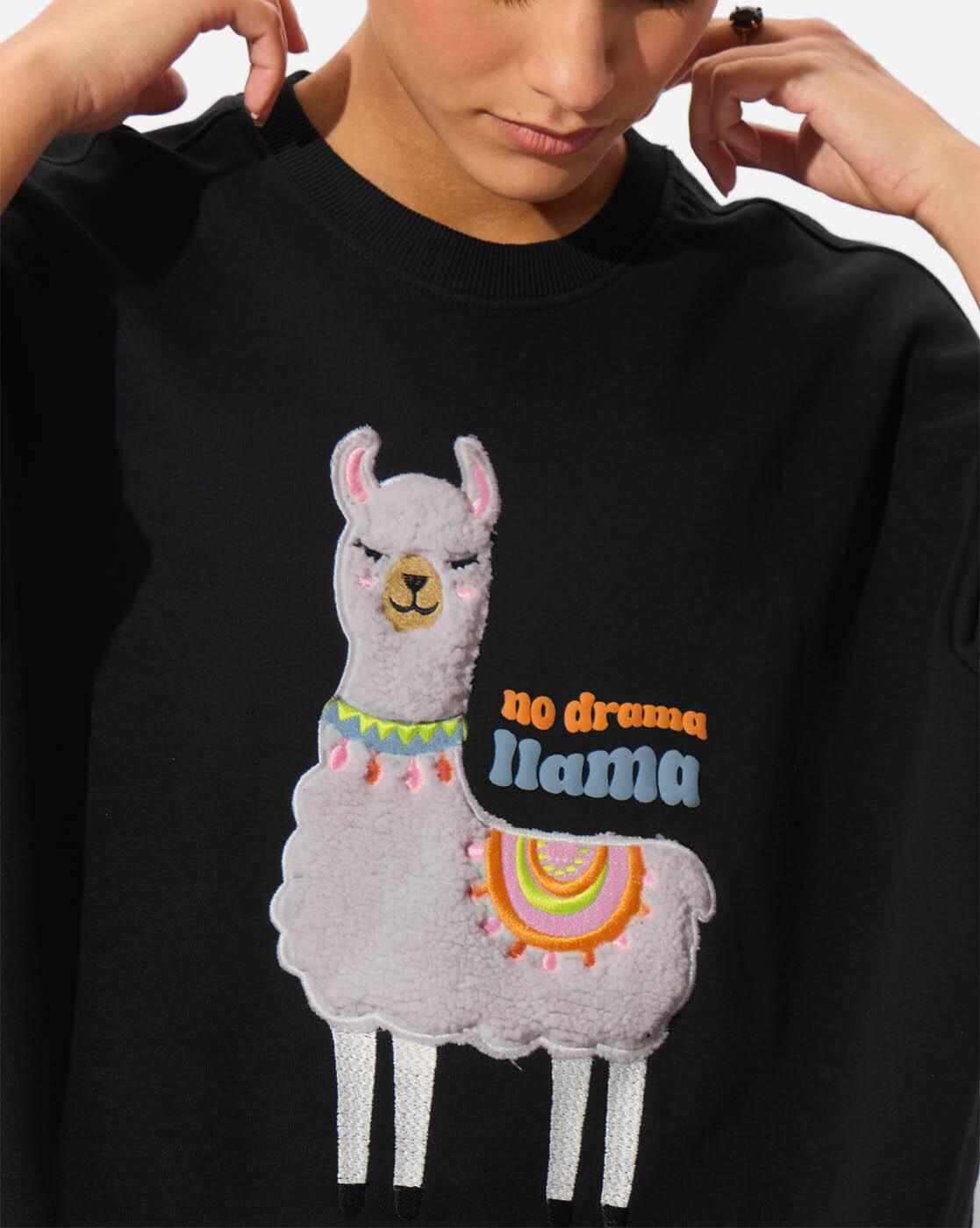 Women Embroidered Round-Neck Sweatshirt