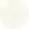 Girls Schiffli Embroidered Mini A-Line Skirt
