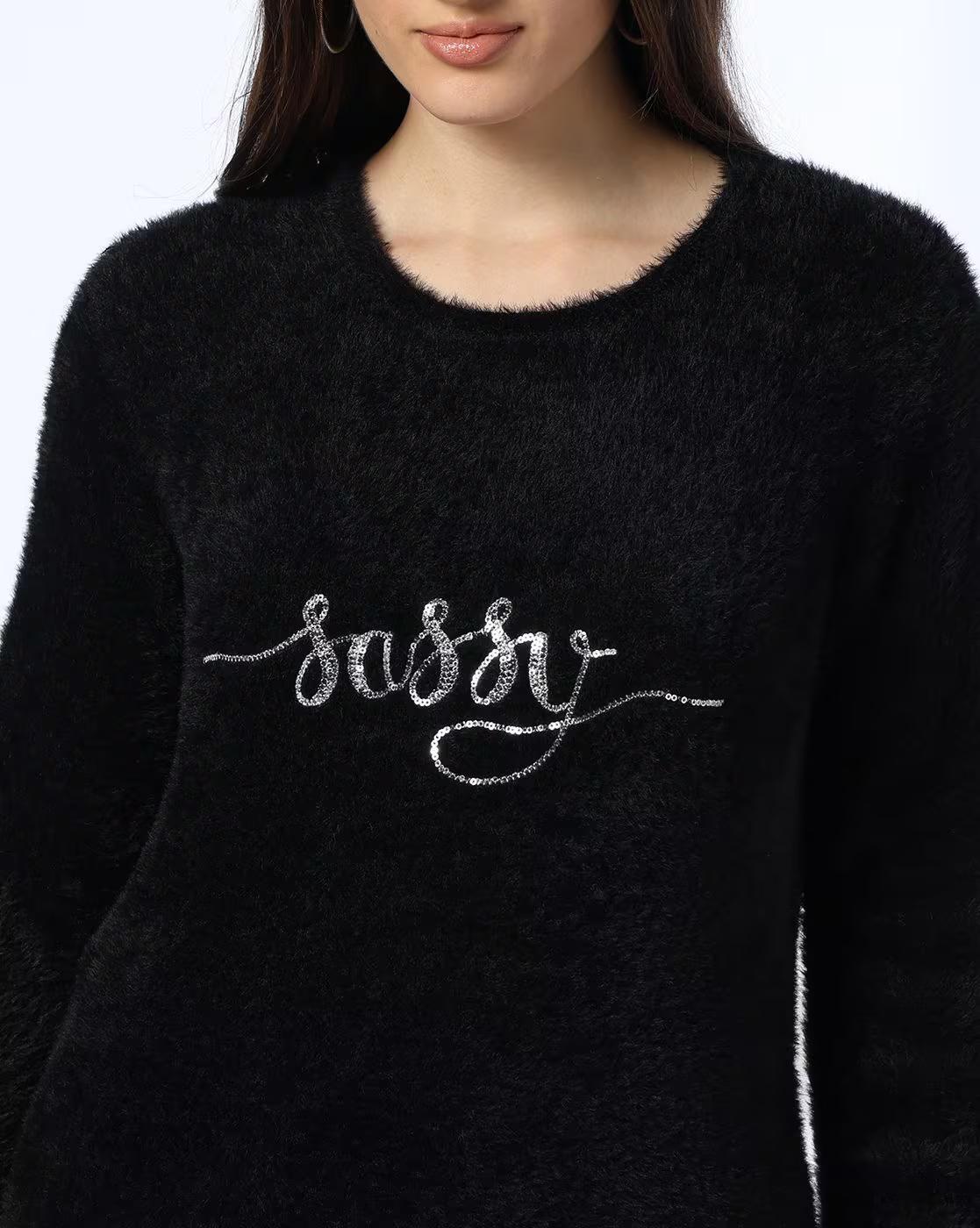 Women Embroidered Regular Fit Pullover