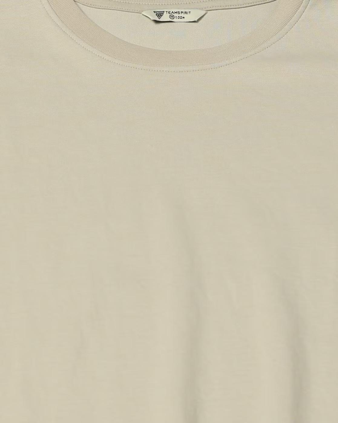 Men Regular Fit Crew-Neck T-Shirt
