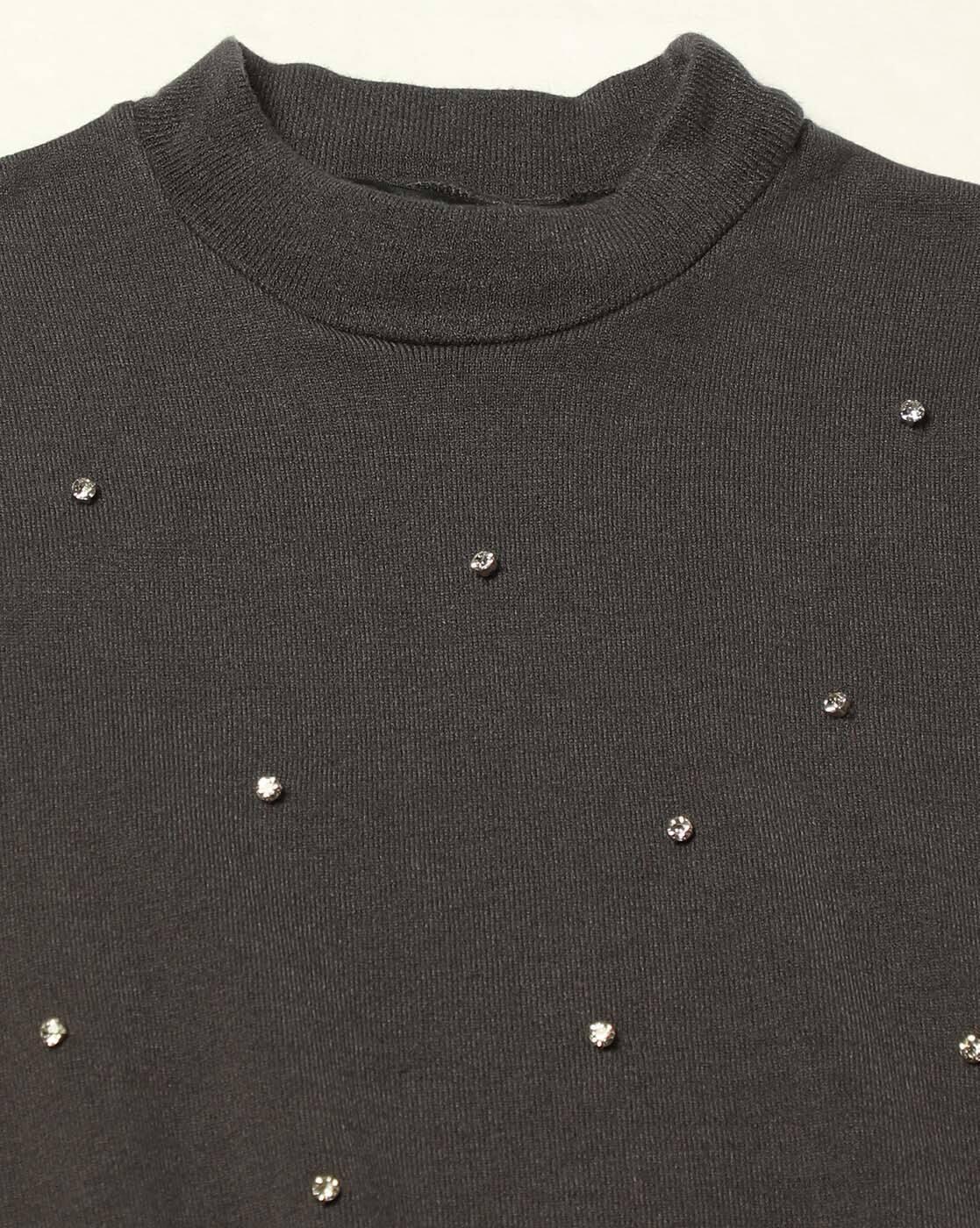Women Embellished Slim Fit High-Neck Top