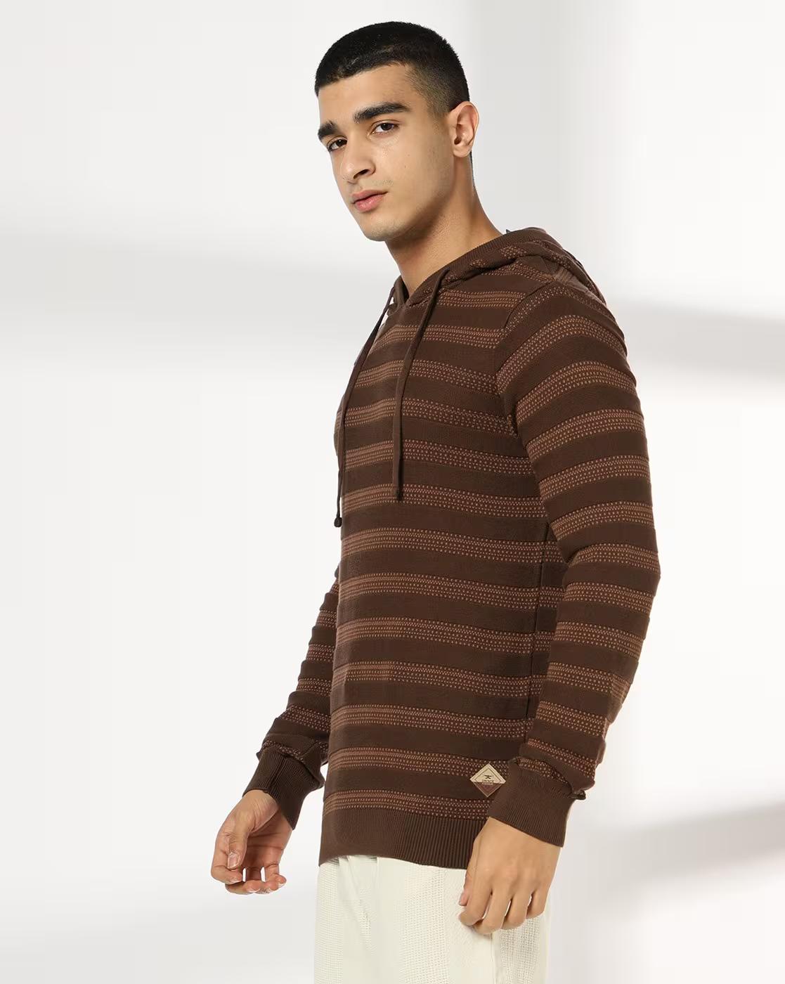 Men Striped Regular Fit Hooded T-Shirt