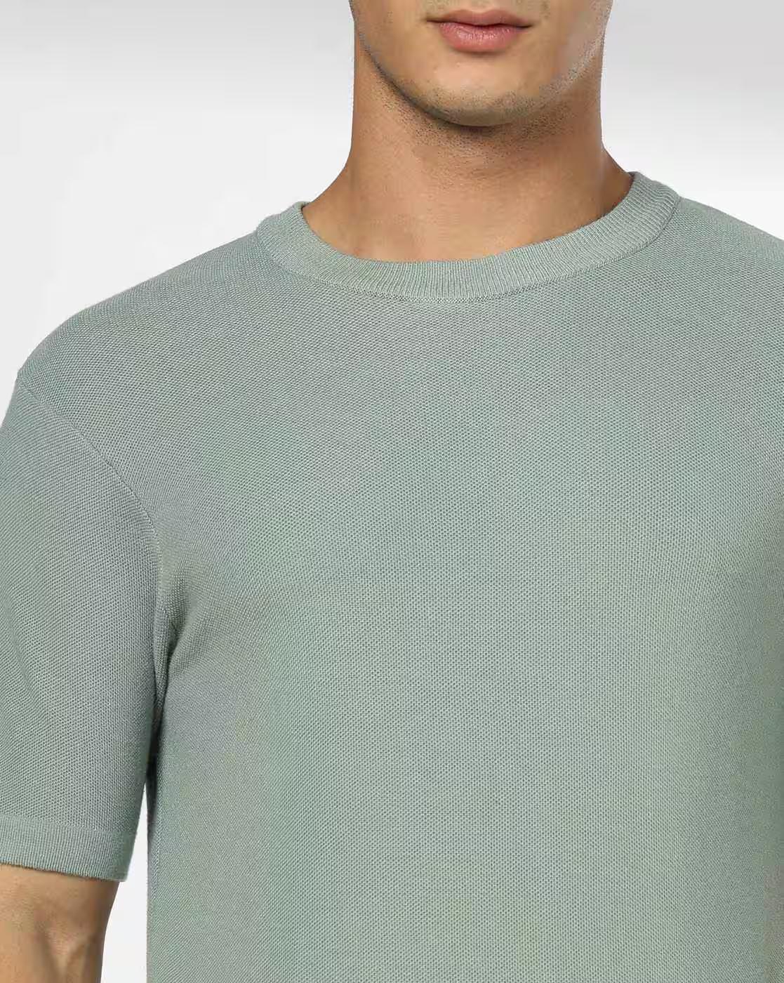 Men Regular Fit Crew-Neck T-Shirt