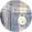 Merchant Lite Checked Regular Fit Shirt