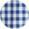 Checked Regular Fit Button-Down Collar Shirt