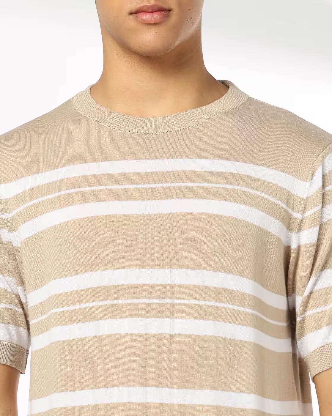 Men Striped Regular Fit Crew-Neck T-Shirt