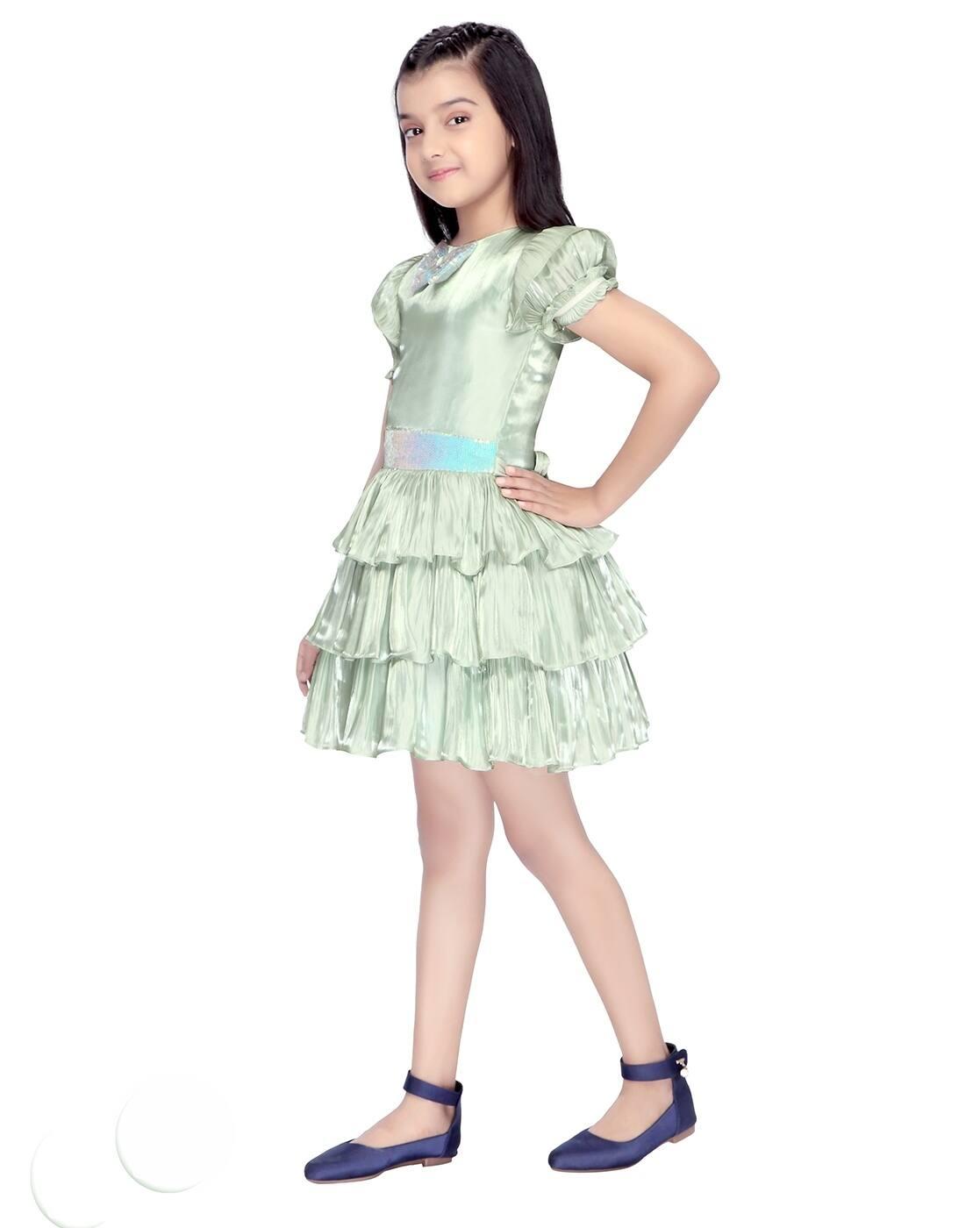 Girls Embroidery Fit and Flare Dress