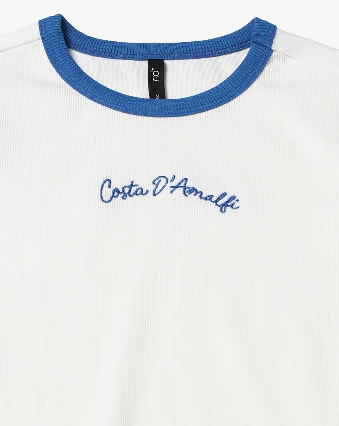 Women Embroidered Regular Fit Crew-Neck T-Shirt