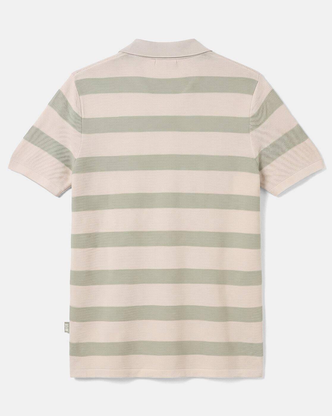 Striped Regular Fit Polo T-Shirt