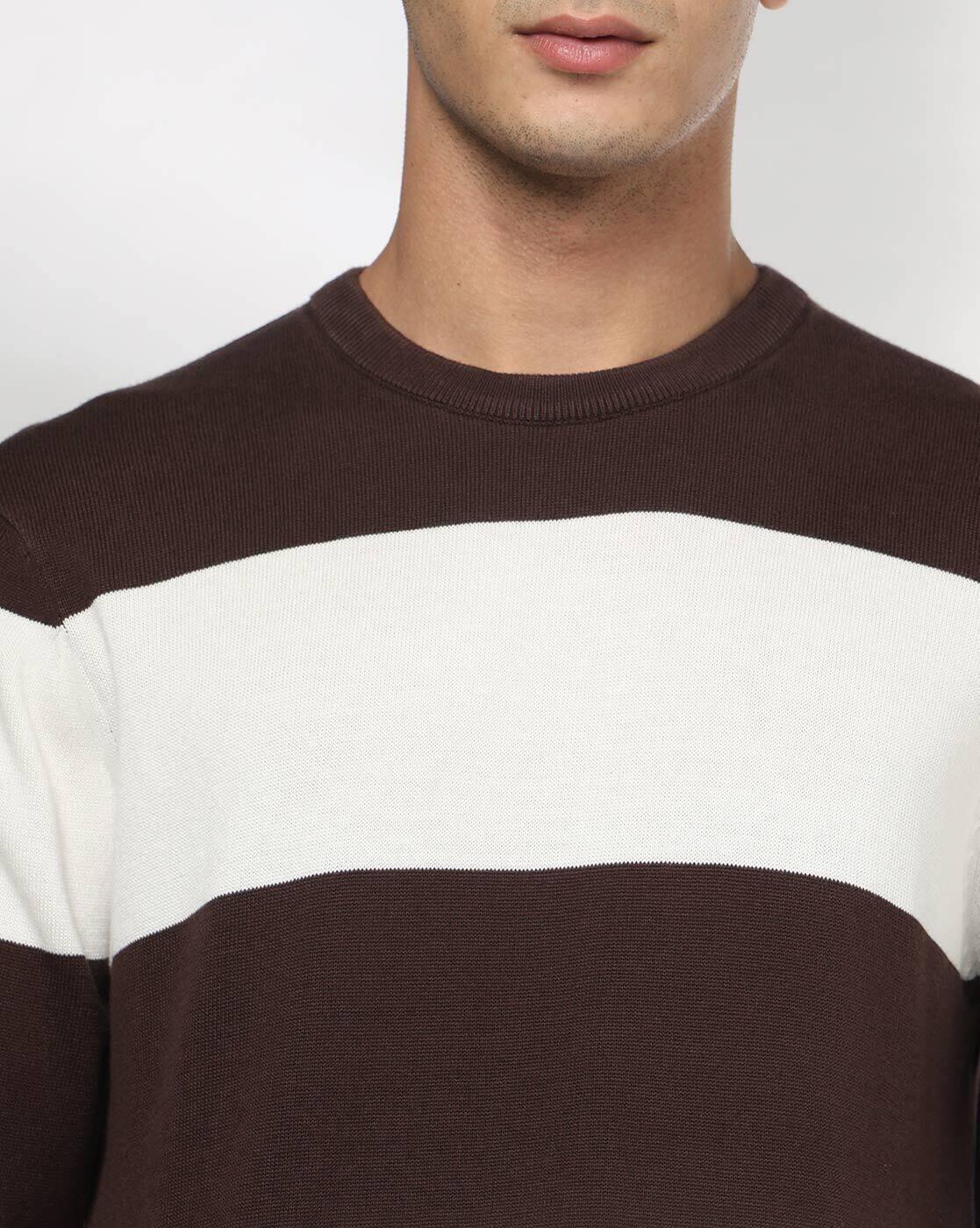 Men Striped Regular Fit Crew-Neck T-Shirt