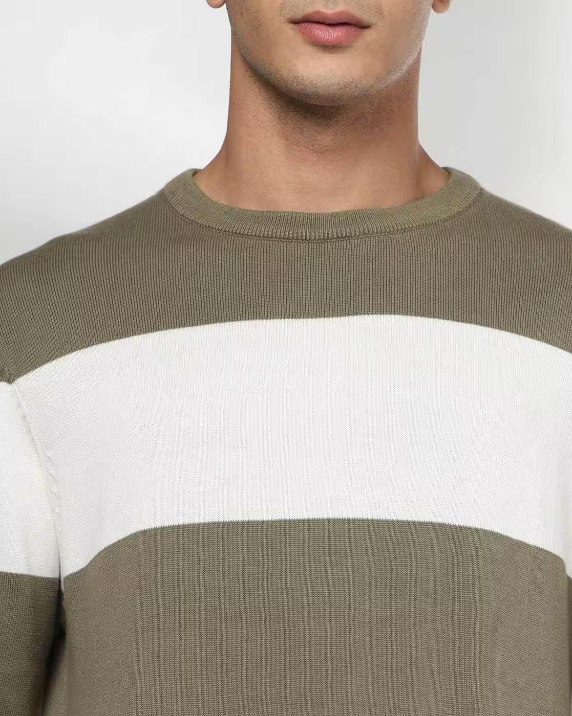 Men Striped Regular Fit Crew-Neck T-Shirt
