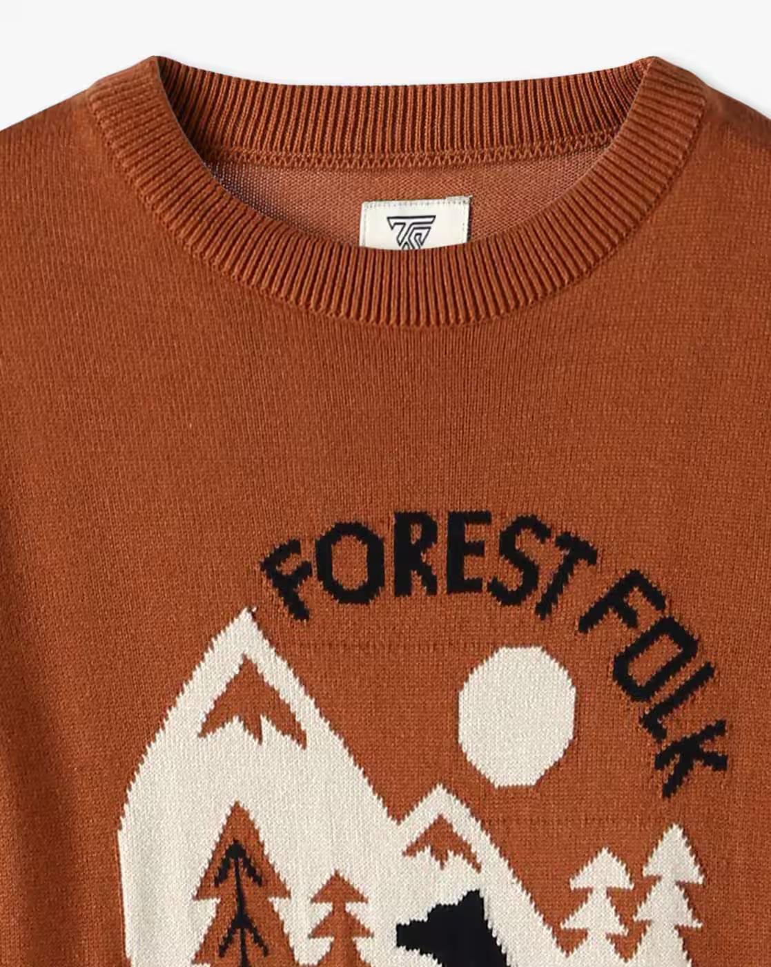 Boys Graphic Print Sweater