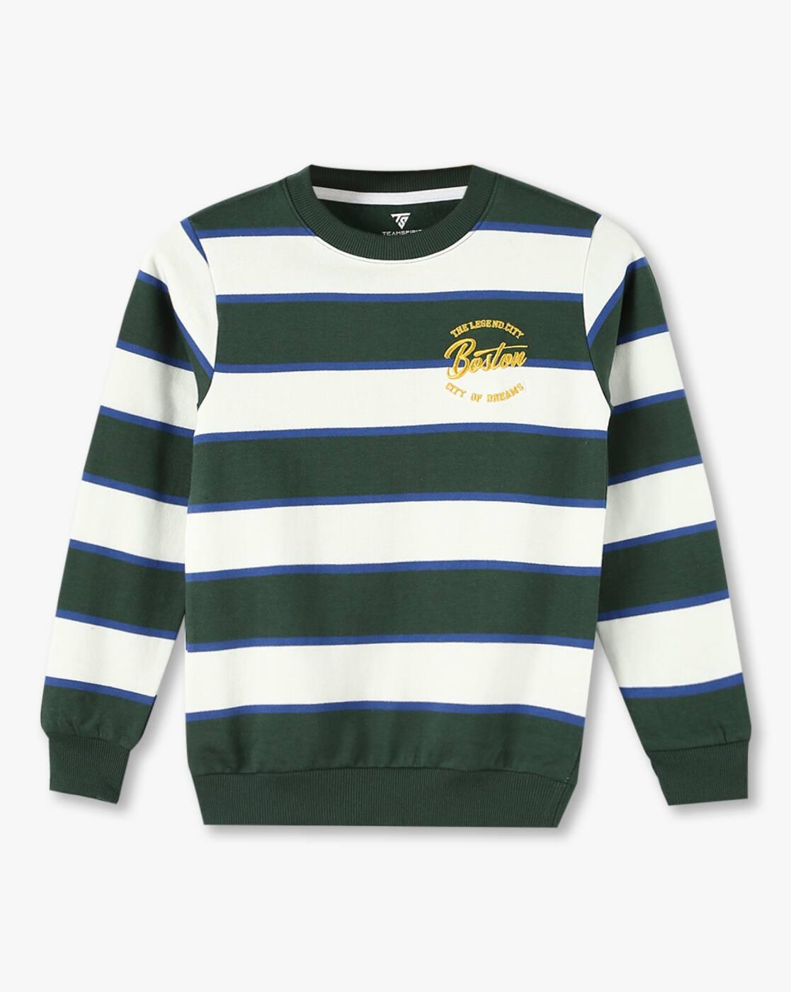 Boys Striped Regular Fit Sweatshirt