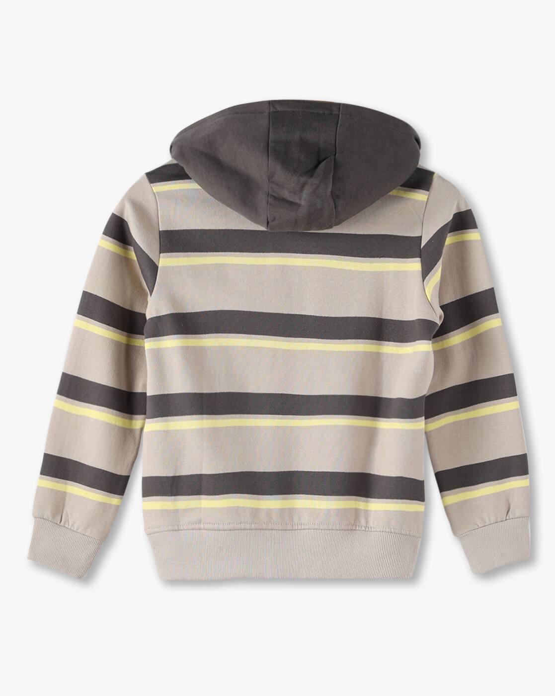 Boys Striped Hoodie