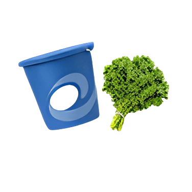 open icon