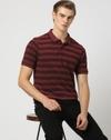 Striped Polo T-Shirt