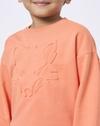 CREW NECK SWEATSHIRT, ORANGE, 11-12Y
