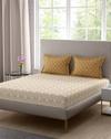 1DBS274X274CM 2PC46X69CM 8583041 PNY