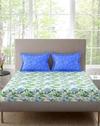 1DBS224X254CM 2PC46X69CM 8583054 PNY