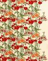 1DBS224X254CM 2PC46X69CM 8048761 SH