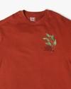Crew TShirt with print on fr, RUST, 8-9Y