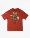 Crew TShirt with print on, RUST, 13-14Y