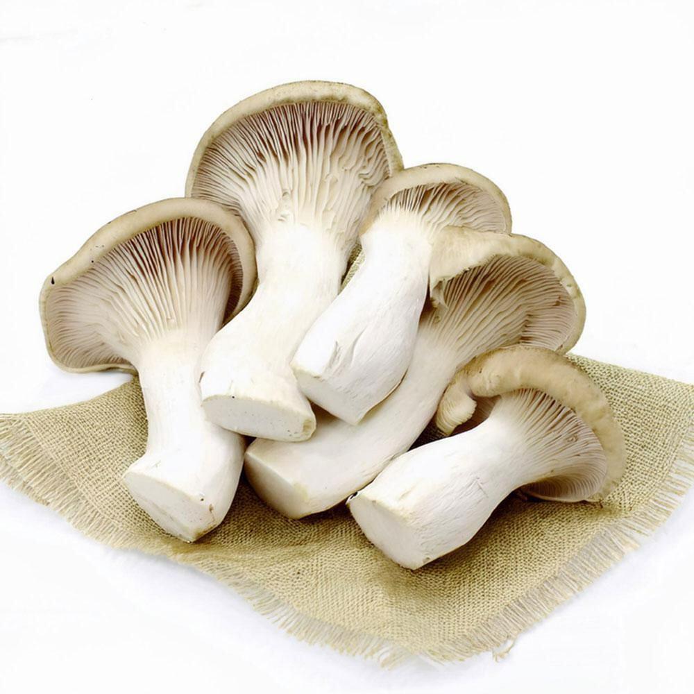 FreshPik | Oyster Mushroom 200 g