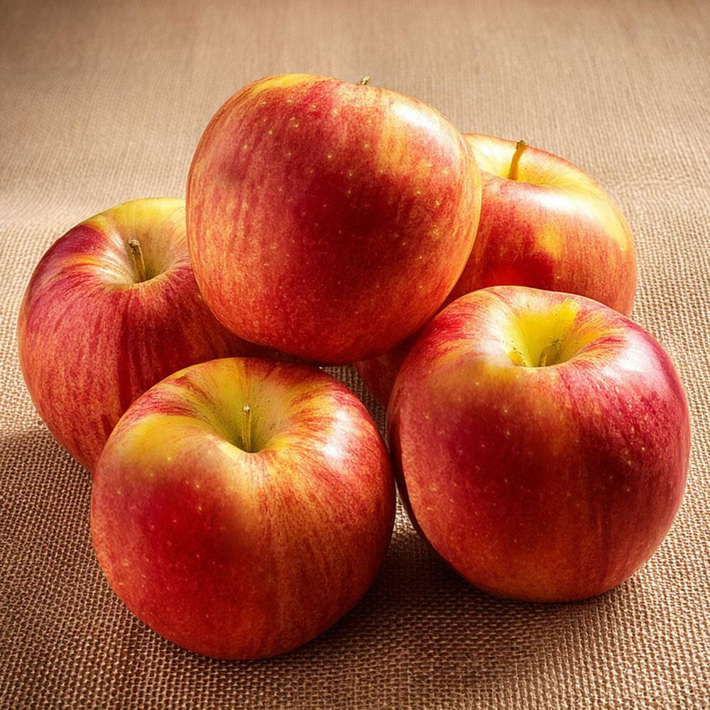 FreshPik | Apple Royal Gala 6 pcs (Approx 700 g - 1000 g)