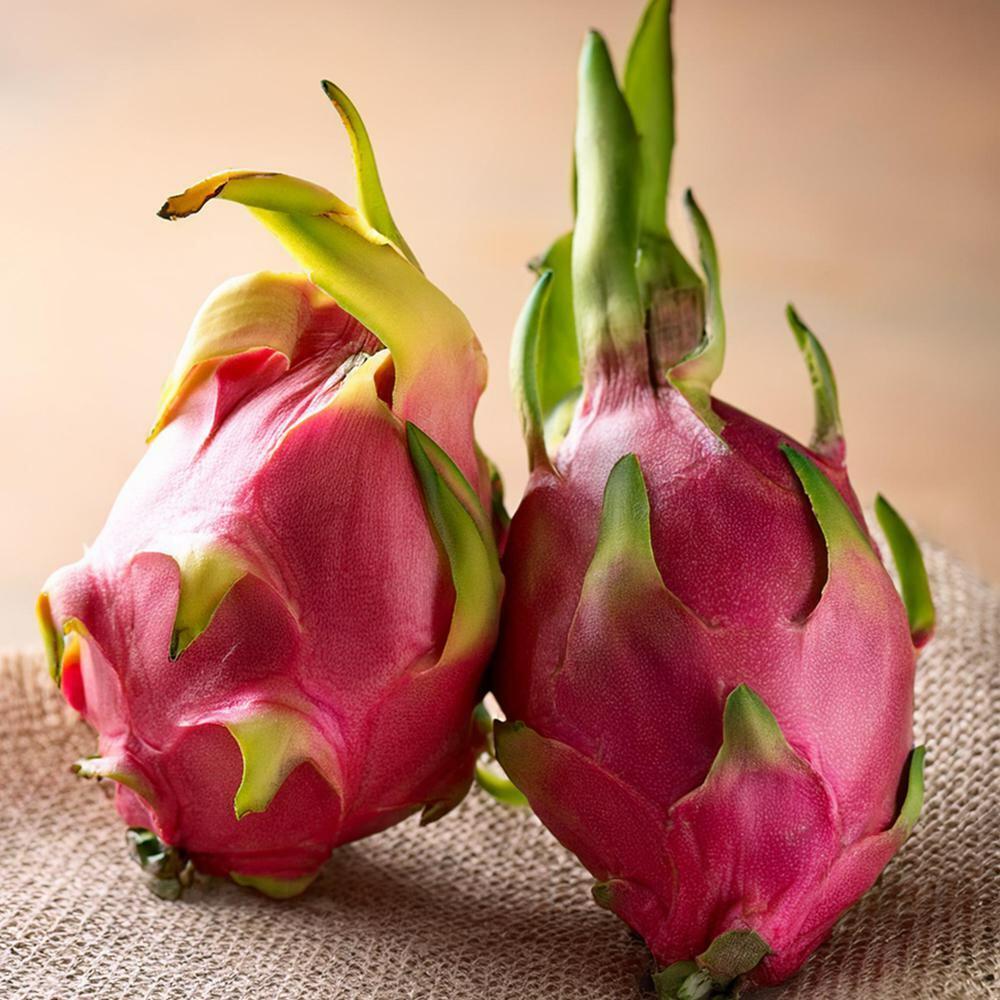 FreshPik | Dragonfruit per pc (Approx 280 g - 450 g)