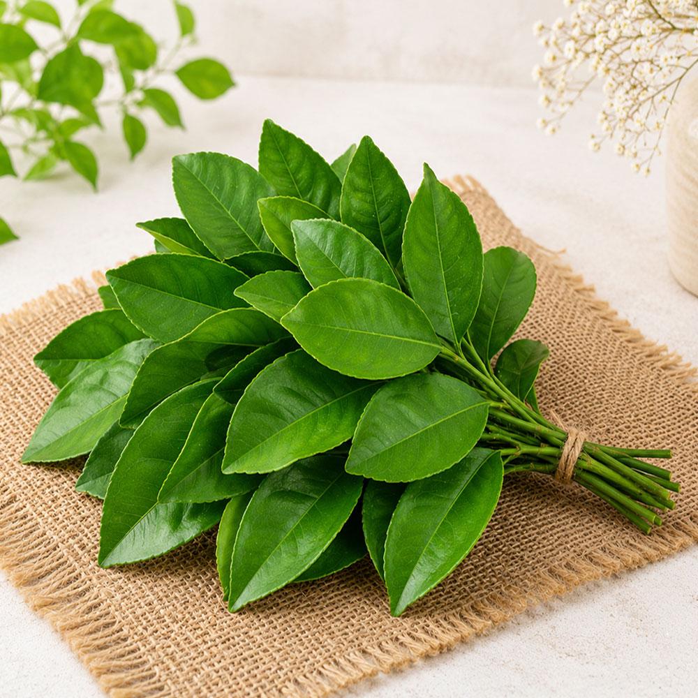 FreshPik | JT Lime Leaves (1 Bunch)