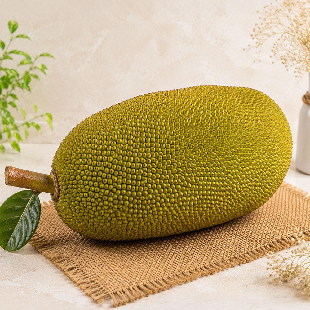 FreshPik | JT Jackfruit / Phanas Large (1 pc)