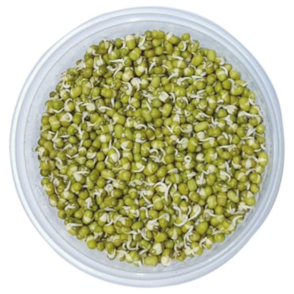 FreshPik | Sprouted Beans 1 Pack (Approx 200 g - 250 g)