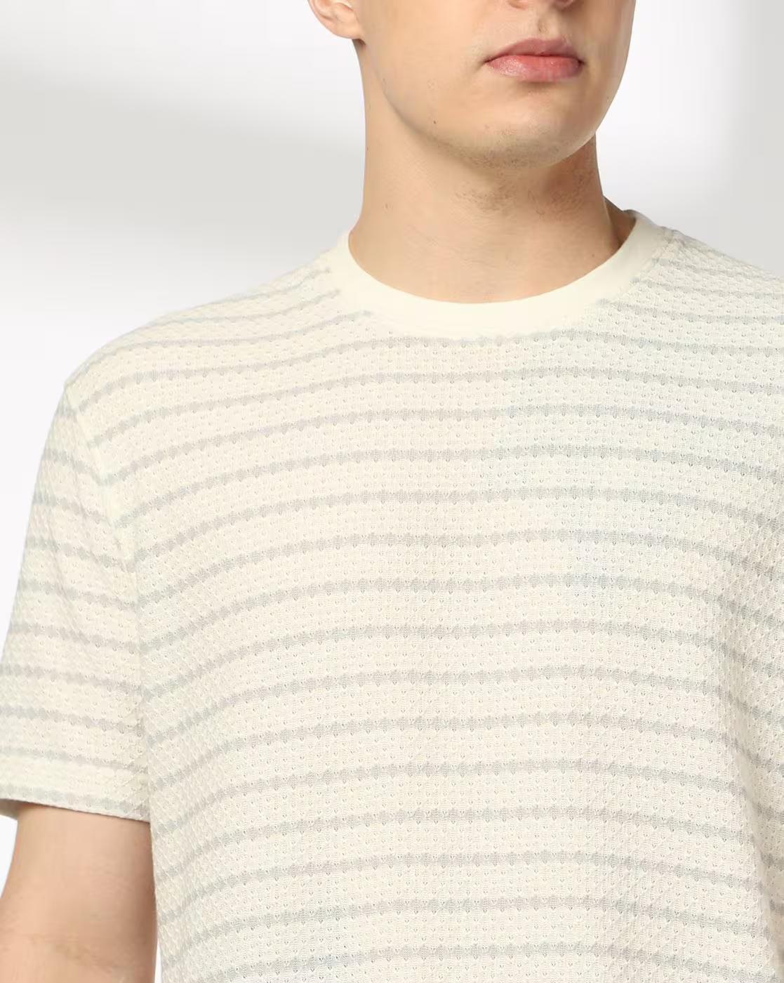 Men Striped Regular Fit Crew-Neck T-Shirt