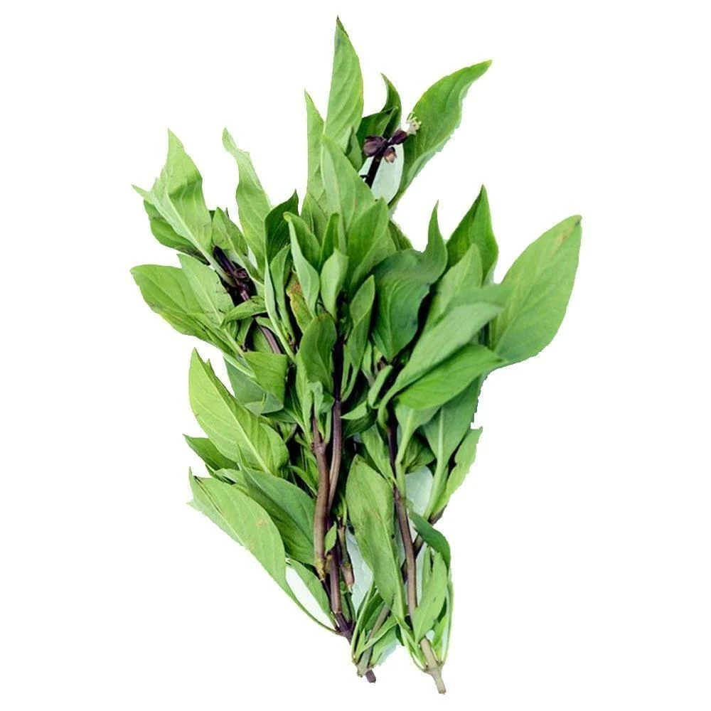 Trikaya | Trikaya Thai Basil 10 g