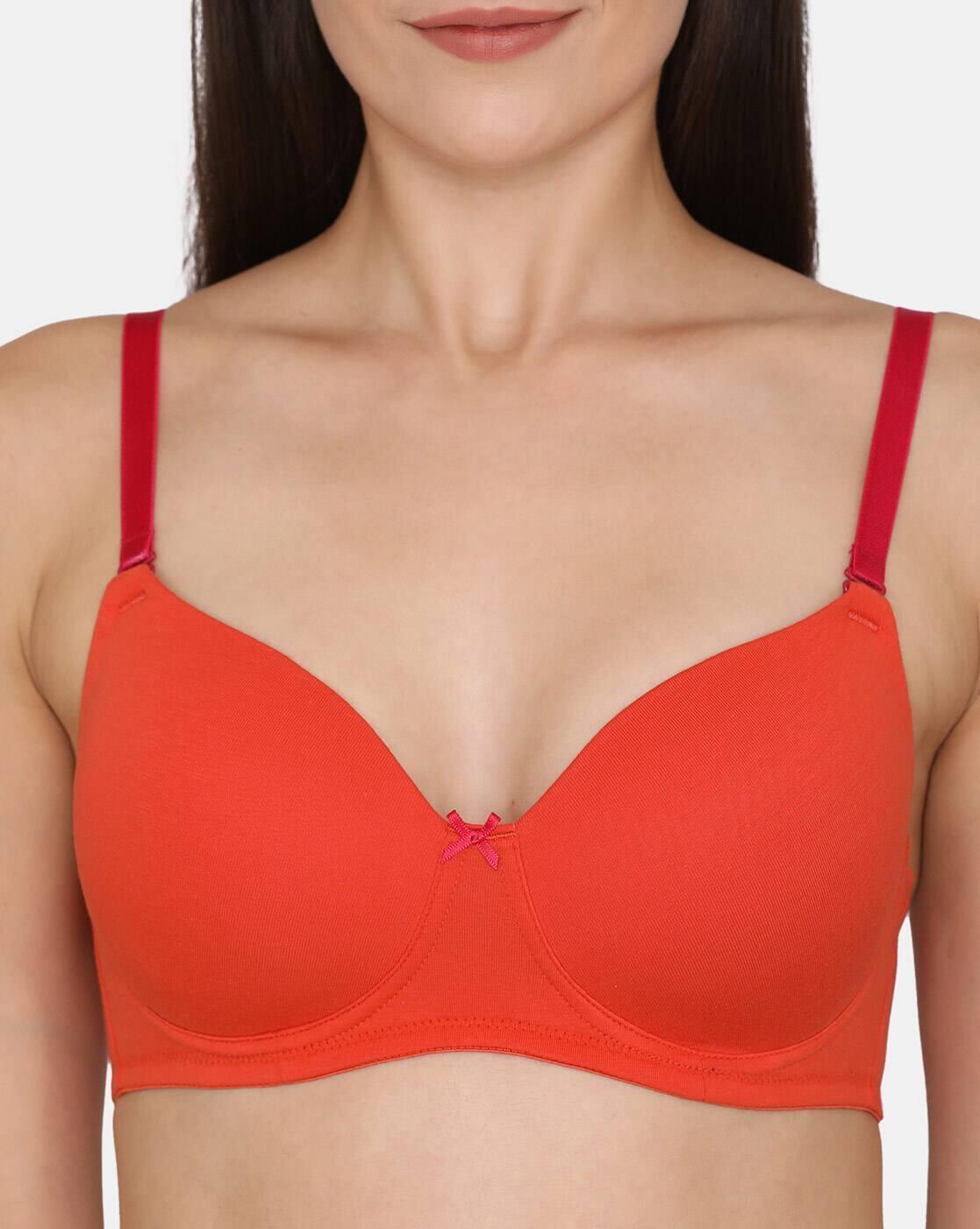 Basics Padded Non-Wired 3/4Th Coverage T-Shirt Bra