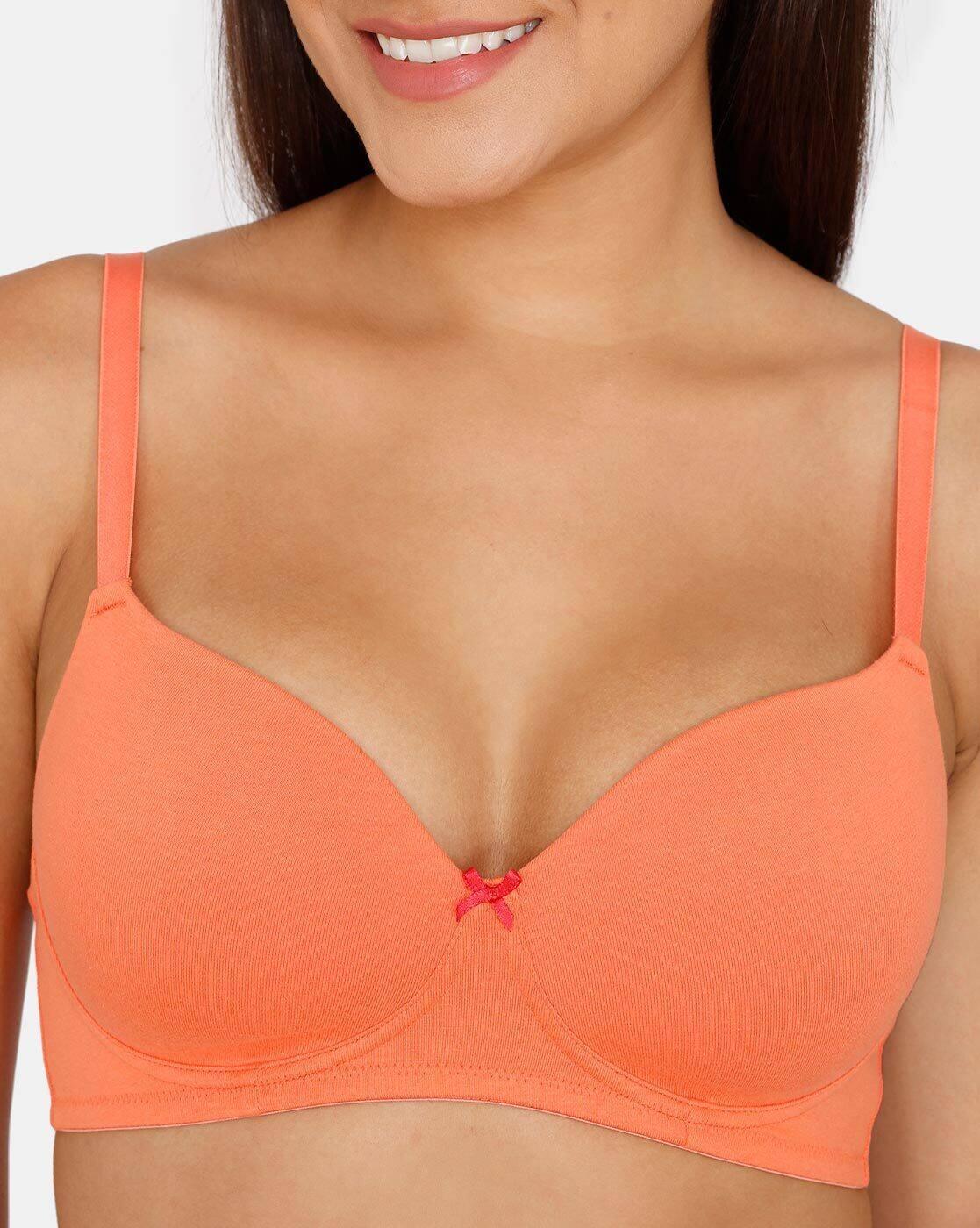 Basics Padded Non-Wired 3/4Th Coverage T-Shirt Bra